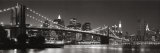Pont de Brooklyn et panorama deManhattan Posters par Graeme Purdy