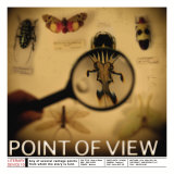 Literary Devices: Point of View Poster von Jeanne Stevenson