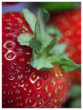 Strawberry Print by Sara Deluca