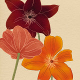 Terracotta Flower Burst Pósters por Kate Knight