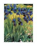 In the Garden Prints by Liliane Fournier
