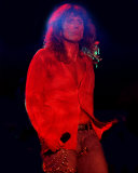 Whitesnake Photo