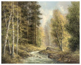 Brook in the Valley Prints by H. Buchner