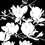 Black and White Magnolia Pósters por Franz Heigl