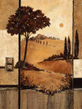 Colori di Toscana Láminas por Claudia Ancilotti Colori di Toscana Láminas por Claudia Ancilotti
