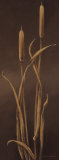 At the Waterside I Prints by Vivien White