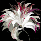 Lily XXI Prints by Sally Scaffardi