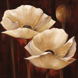 Brilliance Print by Rian Withaar