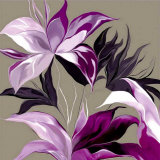 Lily XXIII Prints by Sally Scaffardi