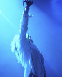 Whitesnake Photo Whitesnake Photo