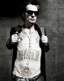 Tommy Lee Photo