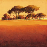 Red Earth Affiches par Leon Wells