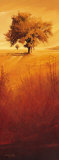 Beginning of Autumn III Affiche par Leon Wells