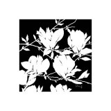 Black and White Magnolia Print by Franz Heigl
