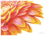 Big Orange Poster by Annemarie Peter-jaumann
