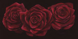 Black Baccara Pósters por Susanne Bach