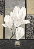 Magnolia blanca Láminas por Claudia Ancilotti Magnolia blanca Láminas por Claudia Ancilotti