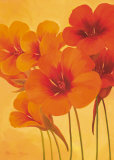 French Lotus Posters par Susanne Bach
