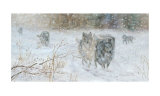 The Wolves' Trail Affiches par Hélène Léveillée