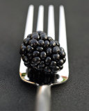 Blackberry and Fork Prints by Sara Deluca