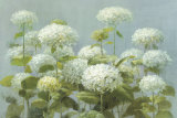 White Hydrangea Garden Pósters por Danhui Nai
