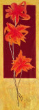 Flowers in Red II Prints by R. Lange