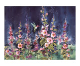 The Enchanted Hummingbird Prints by Jean-yves Guindon