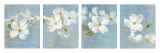Blossom Panel Posters by Danhui Nai