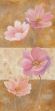 Fragrance II Prints by P. Ambroise