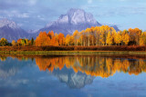 Mount Moran Prints
