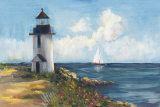 Sunday Morning Sail Stampe di Carol Rowan