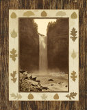 Taughannock Falls Poster