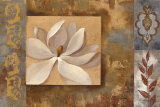 Sunset Flower I Affiches par Silvia Vassileva