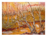 A Golden Sunrise Giclee Print by Debra Ventimiglia