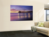 Manhattan Beach Pier, Manhattan Beach, San Francisco, California, USA Wall Mural