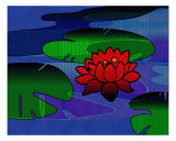 Zen Lotus Fotografisk trykk av Karolina Borkowski Zen Lotus Fotografisk trykk av Karolina Borkowski