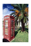 Telephone Booth, Bermuda Photographic Print by George Oze