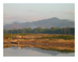 Laotian Landscape Photographic Print by Simon Moore