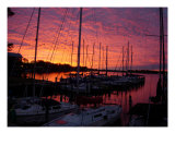Marina Sunset Photographic Print by Stephanie Cyr