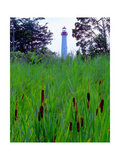 Cape May Point Lighthouse, New Jersey Photographic Print by George Oze Cape May Point Lighthouse, New Jersey Photographic Print by George Oze