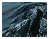Humpback Whale Series I: II Giclee Print by S. Heather Theurer