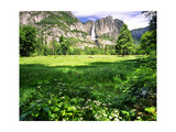 Valley View Of The Yosemite Fall, California Photographic Print by George Oze Valley View Of The Yosemite Fall, California Photographic Print by George Oze