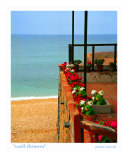 Wall Flowers, Costa Brava, Spain Photographic Print by Jamie Marsh