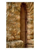Gated Door In Stone Fotografie-Druck von Debbie Vinci