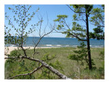 Lake Michigan Dunes Photographic Print by Michelle Calkins
