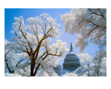Us Capitol Building, Color Infrared Photographic Print by M. T. Harmon