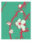 Pink N Aqua Cherry Blossom Photographic Print by Estela Lugo