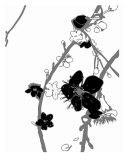 White N Black Cherry Blossom Photographic Print by Estela Lugo