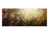 Daisies Giclee Print by James Saenz