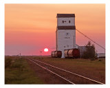 Prairie Skyscraper Photographic Print by Ron Kroeker